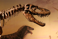 12-07 Drumheller-Dinosaur Park