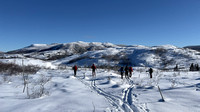 Parc des Grands Jardins skis Février 2024