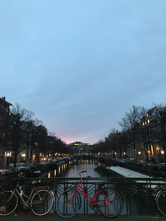 IMG_2117